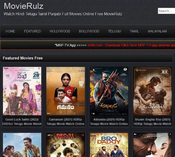 Latest Bollywood Movies on Movierulz Dev: A Comprehensive Guide